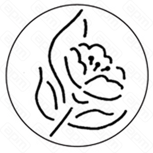 Трафарет для декора пончиков d12см Цветок пластик